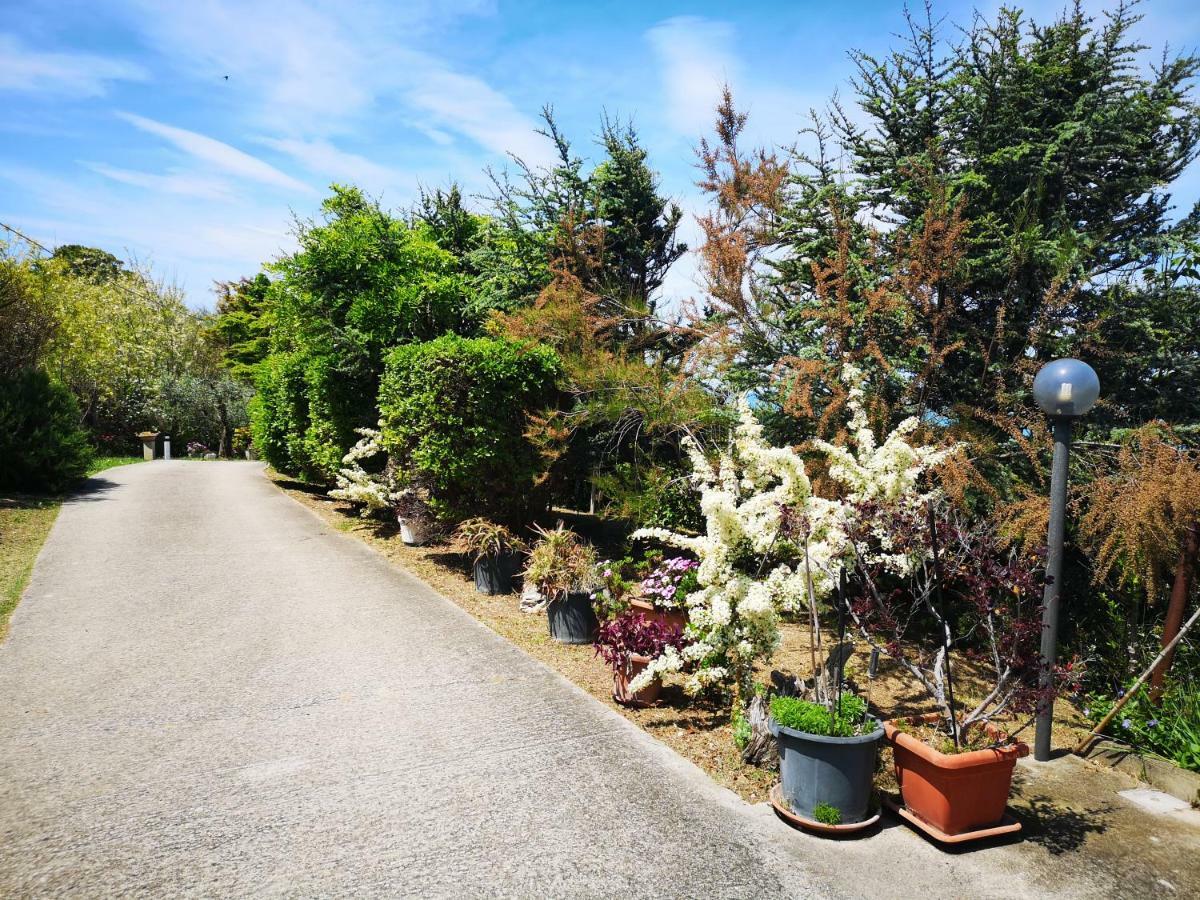 vacanze al Mare appartamento in villa Torino di Sangro Esterno foto